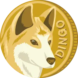 Spinning-Dingo